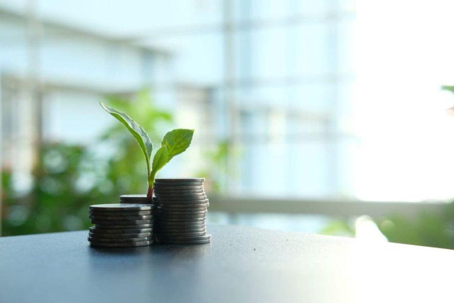 3 piliers du développement durable