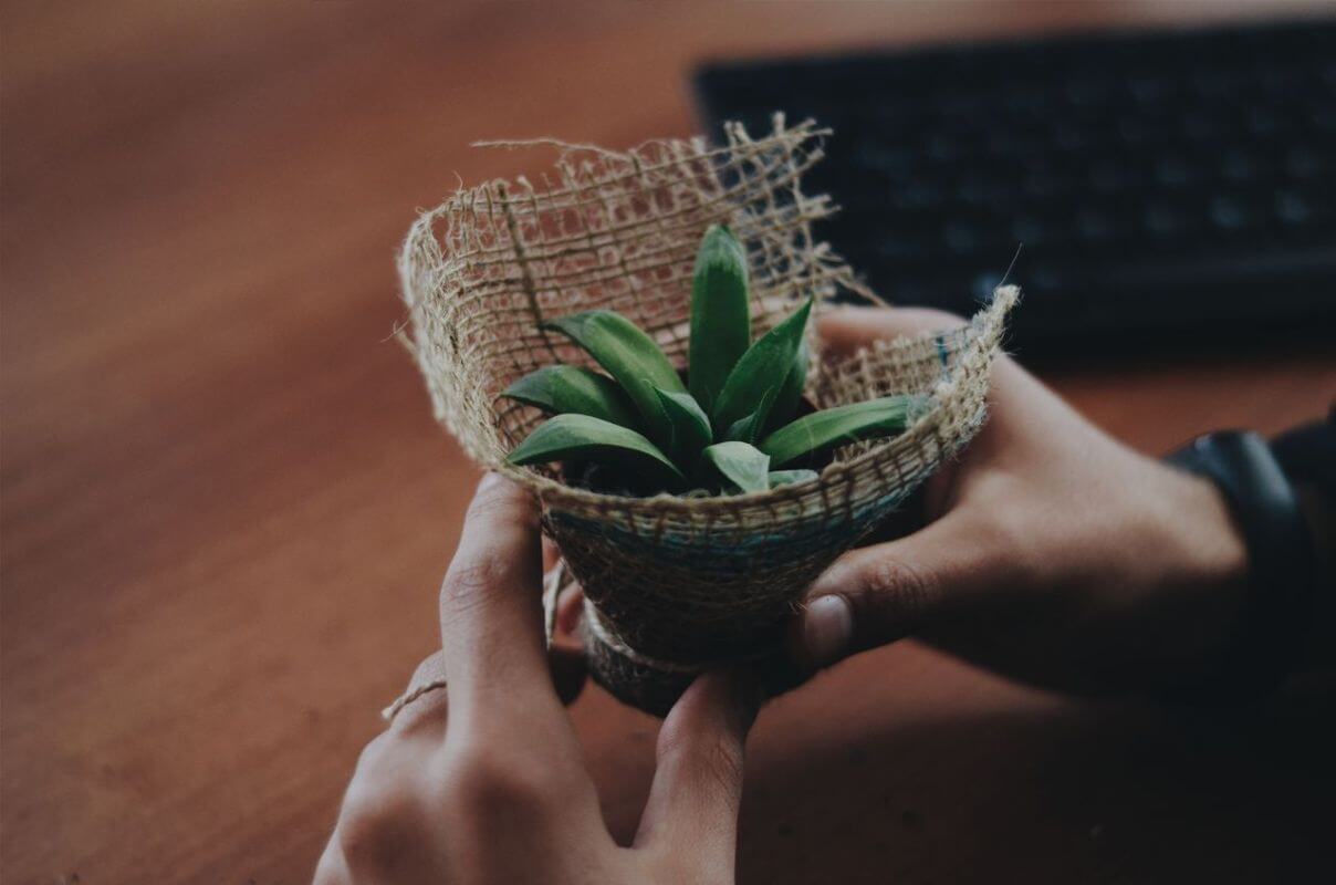 green marketing