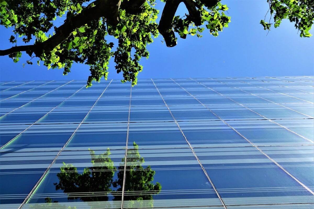 entreprise à impact