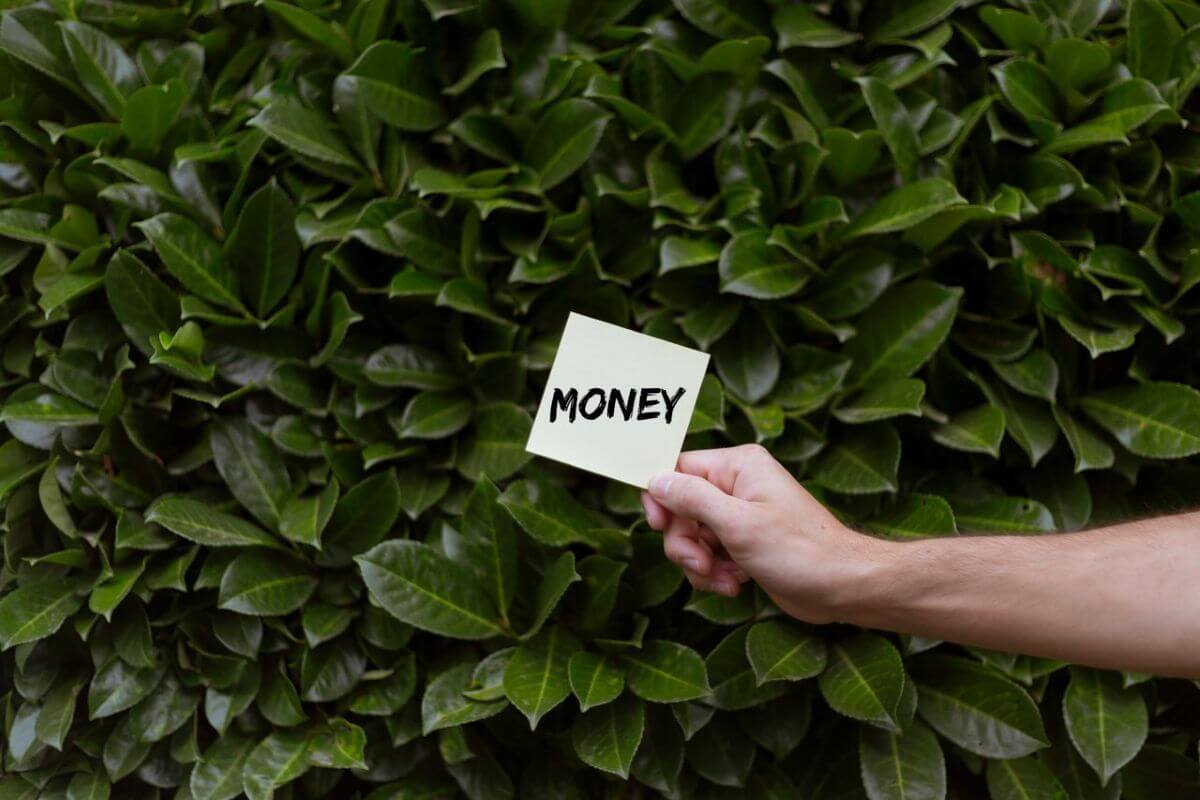 greenwashing